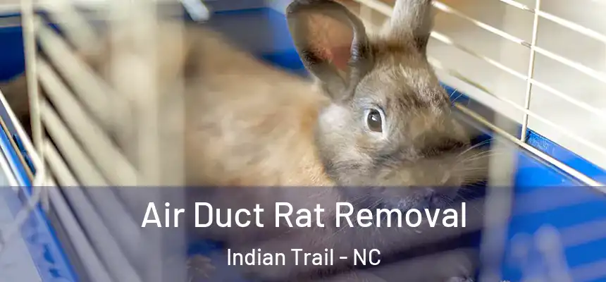  Air Duct Rat Removal Indian Trail - NC