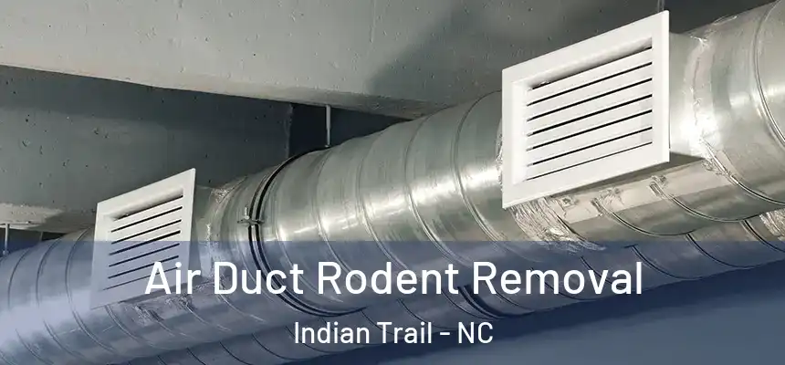 Air Duct Rodent Removal Indian Trail - NC