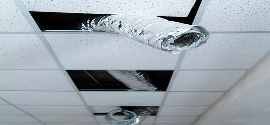 Our Air Duct Pet Hair Removal Services in Indian Trail, NC