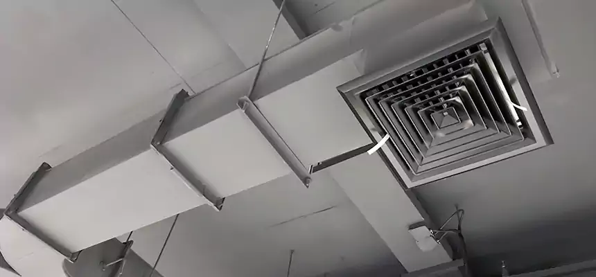 Restorative Allergy Relief Vent Cleaning – Coil, Blower & Housing Detail in Indian Trail