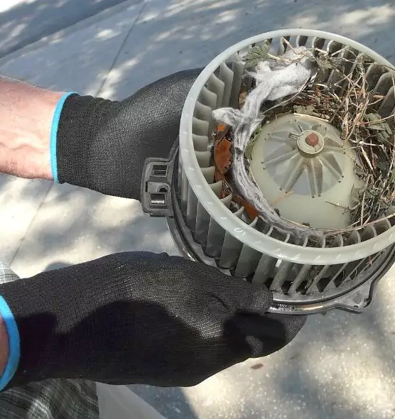 About Air Duct Rat Removal in Indian Trail, NC