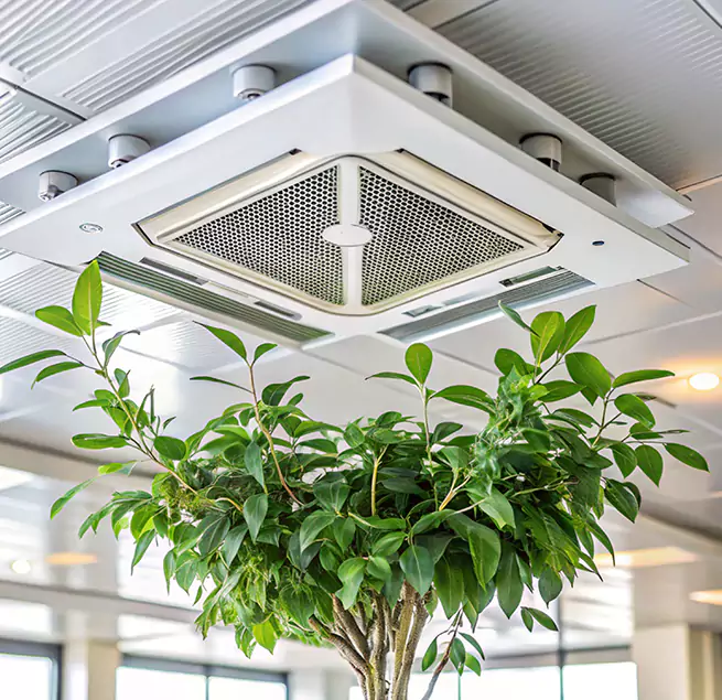 Why Homeowners & Businesses Trust Us in Indian Trail, NC?