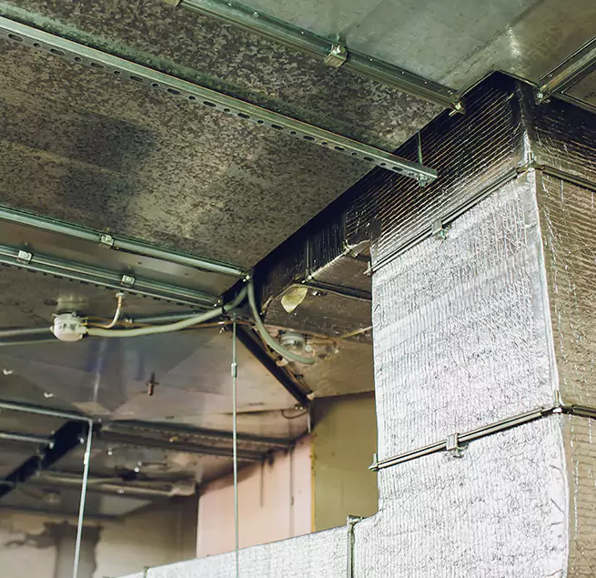 Why Homeowners & Businesses Trust Us in Indian Trail, NC?